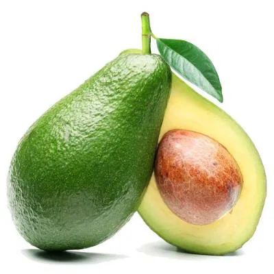 Indian Avocado