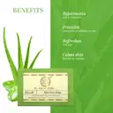 Khadi Natural Aloevera Soap – image 3