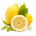 Lemon Organically Grown – image 1
