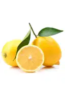 Lemon – image 1