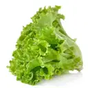 Lettuce Green – image 1