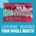Listerine Cool mint Mouthwash – image 5