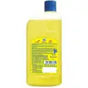 Lizol Disinfectant Surface & Floor Cleaner Liquid Citrus – image 2