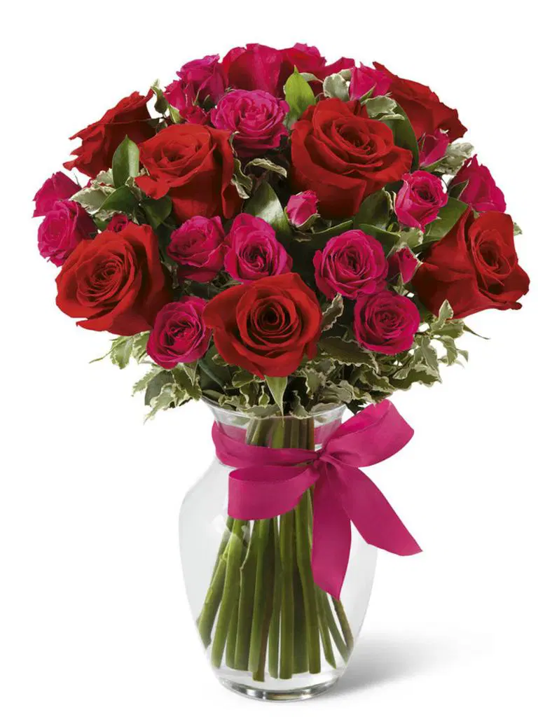 Love-struck Rose plant with platter vase