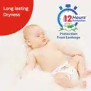 LuvLap Baby Diaper XL – image 2