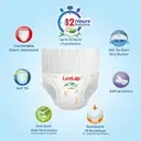 LuvLap Baby Diaper XL – image 5