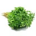 Methi Cleaned Without Roots – image 1
