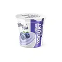 Milky Mist Blueberry Yogurt – image 1