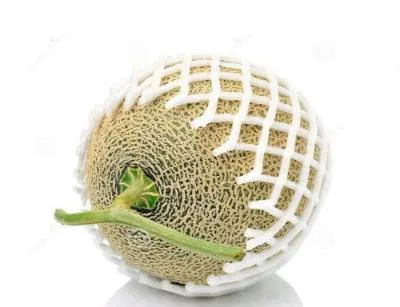 Muskmelon Netted Small