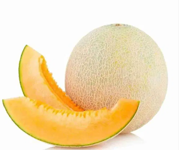 Muskmelon Organically Grown