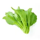 Mustard Leaves – image 1