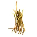 Neem Gilloy Organically Grown – image 1
