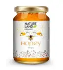 Nature Land Organic Honey – image 1