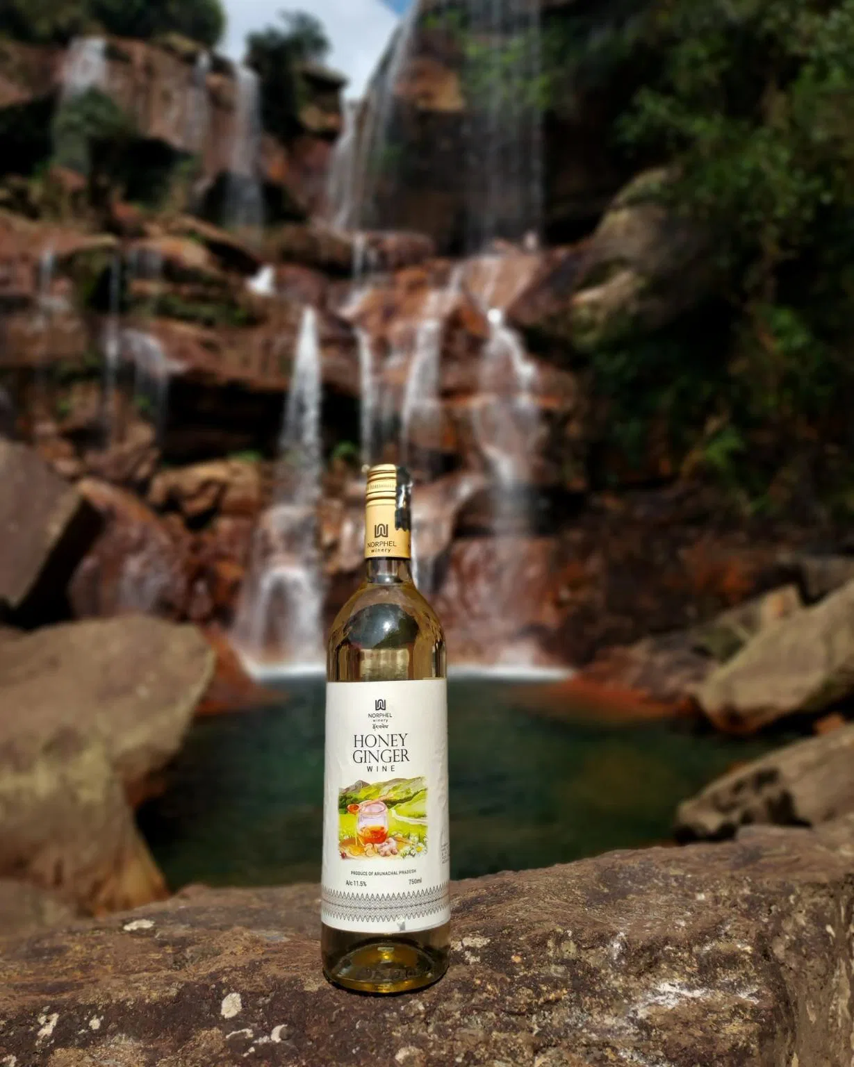 Norphel Honey Ginger Wine