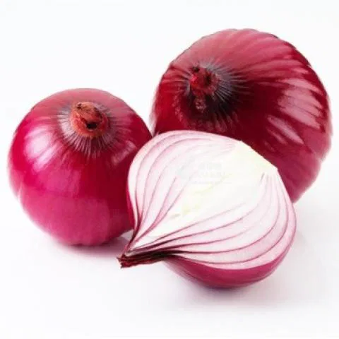 Onion Organically Grown