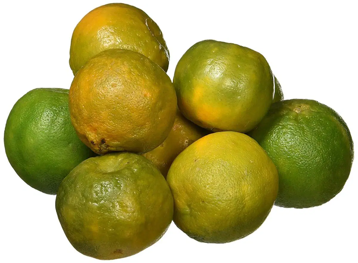 Orange Nagpur Small