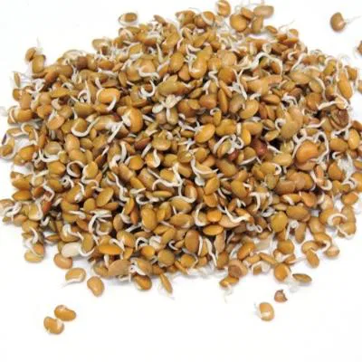 Organic Sprouts Horse Gram