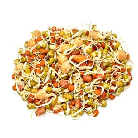 Organic Sprouts Mixed Gram