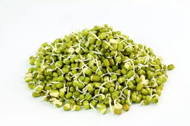 Organic Sprouts Moong Green