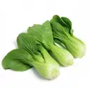 Pak Choi – image 1