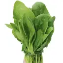 Palak Organically Grown – image 1