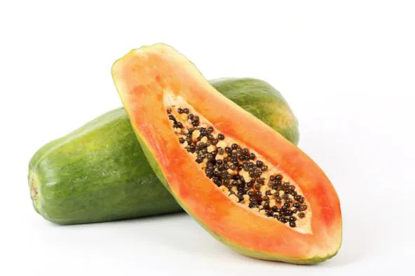 Papaya Medium