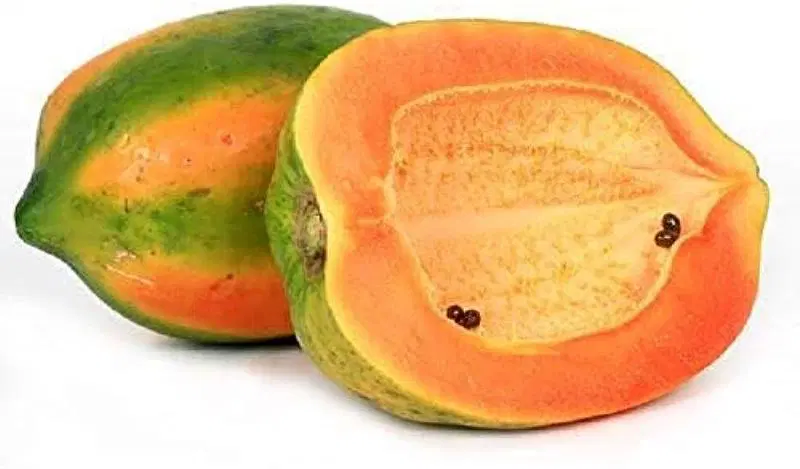 Papaya Small