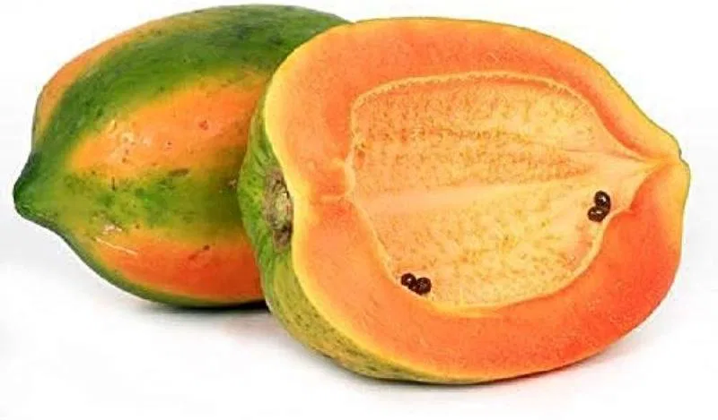 Papaya Small