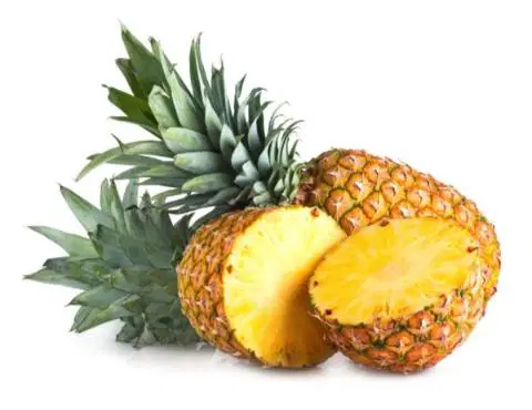 Pineapple Organically Grown