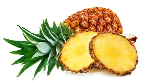 Pineapple Slices Round