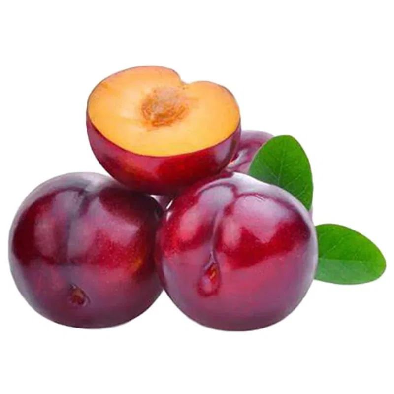 Plum Imported