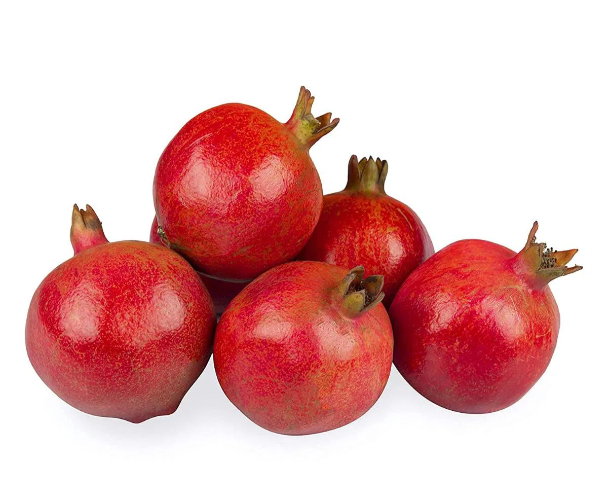 Pomegranate Small