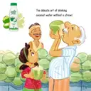 Paper Boat Coconut Water (Bottle) – image 4