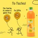 Paper Boat Swing Slurpy Mango Juice – image 5