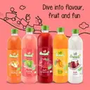 Paper Boat Swing Zesty Pomegranate Juice – image 4