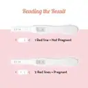 Plush Pregnancy Test Kit Midstream – image 3