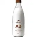 Provilac A2 Milk (Bottle) – image 1