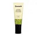 Quench Botanics Chialeader Shine Control Gel Face Wash with Tea Tree and Salicylic Acid – image 1
