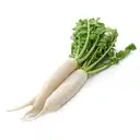 Radish Organically Grown – image 1
