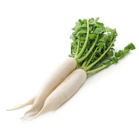 Radish Organically Grown
