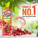 Real Fruit Power Cranberry Juice – image 4