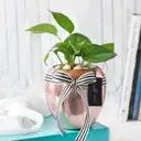 Rose Gold Good Luck Pot – image 1