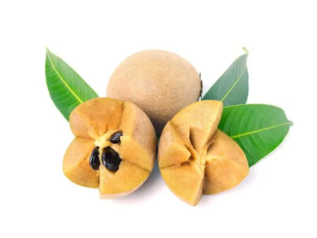 Sapota Organically Grown