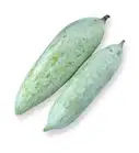Snake Gourd Organically Grown – image 1