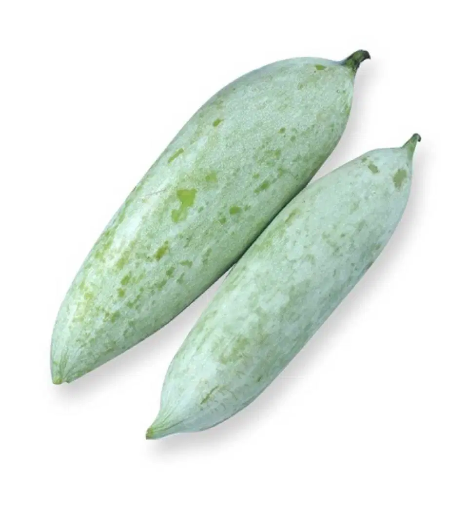 Snake Gourd Organically Grown