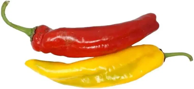 Snibs Sweet Palmero Pack