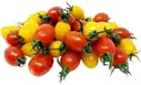 Snibs Tomatoes Pack – image 1