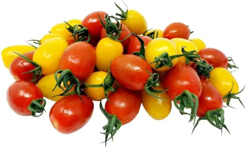 Snibs Tomatoes Pack