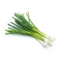 Spring Onion With Roots – image 1
