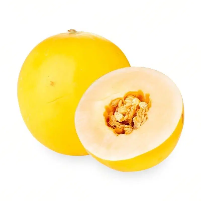 Sun Melon